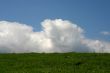 Simple landscape