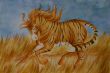 Tiger horse