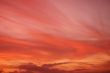 Pink sunset