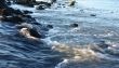 Flowing water
