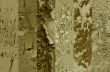  Different wall textures