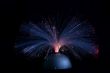 Optical fibre light