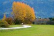 family trip in autumn