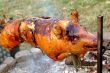 suckling pig