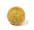melon