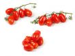 tomatos