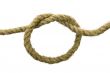 Variants of the rope with node