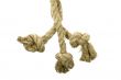 Variants of the rope with node