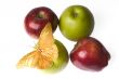 apples with an butterfly