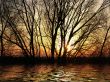 Beautiful sunset