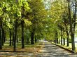 Autumn in the city
