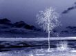 Abstraction landscape