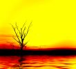 Yellow sunrise
