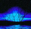 Moonlight . Abstraction picture with trees