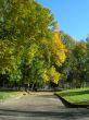 Autumn in the city