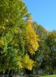 Autumn in the city