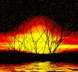 Sunset. Picture with trees