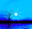 Blue evening