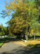Autumn in the city