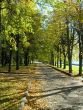 Autumn in the city