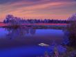 Night. Lake