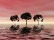 Pink sunset. Trees