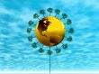 Sunny flower