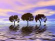 Evening. Trees