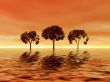 Golden sunrise. Trees