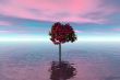 Lonely tree