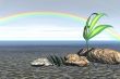 Rainbow in desert