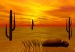 Sunset in desert