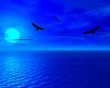 Blue evening