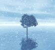 Winter. Lonely tree
