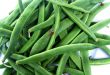 Harvest -green beans