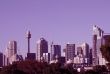 Sydney Skyline In Magenta
