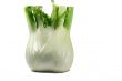 Fennel