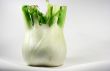 Fennel