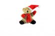 Santa Teddy Bear