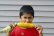 Eating corn