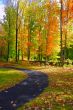 Fall Foliage