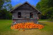 Pumpkins