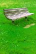 Park Bench