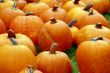 Pumpkins