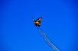 Butterfly Kite