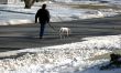 Walking