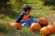 Pumpkins