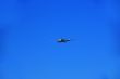Glider plane