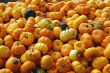 Pumpkins