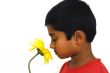 Smelling